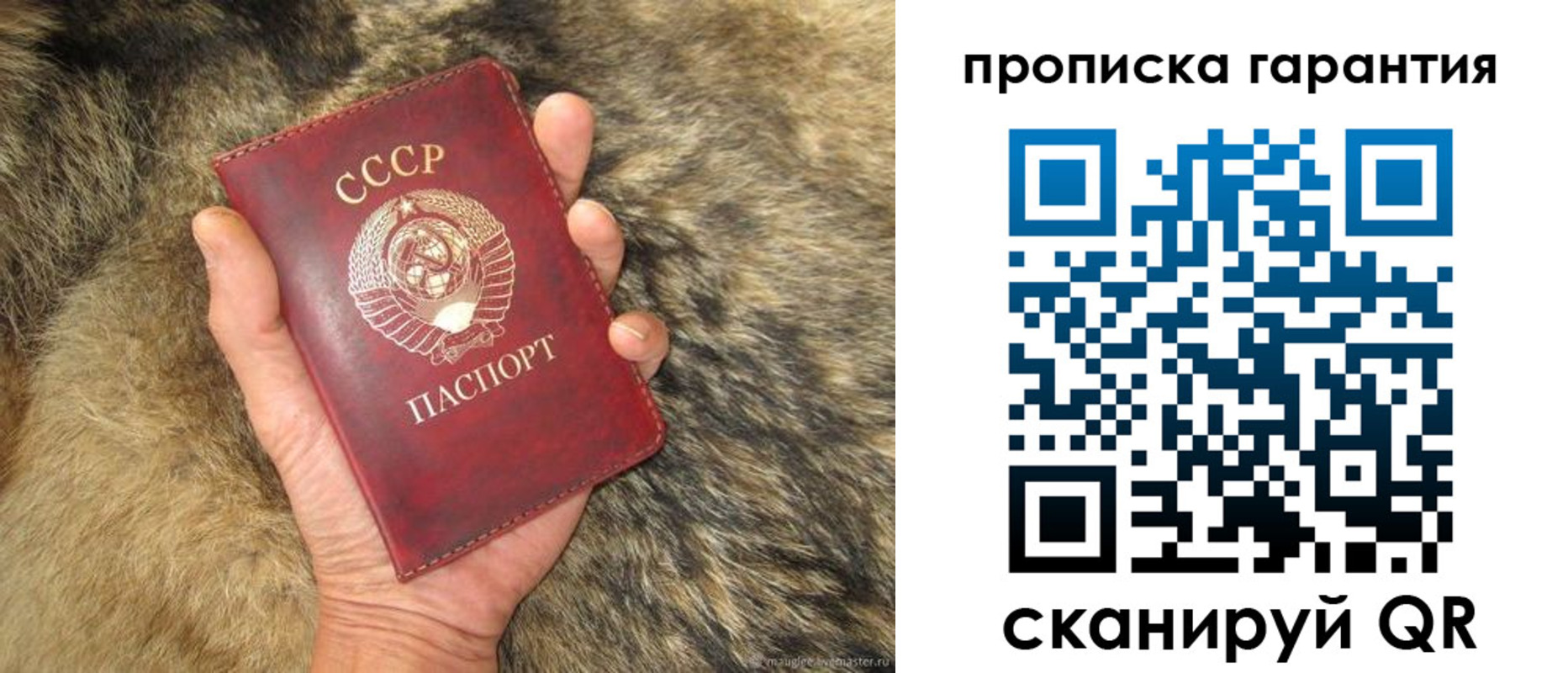 прописка паспорт в Мончегорске